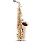 Giardinelli GAS-12 Series Alto Saxophone by Selmer Lacquer Lacquer Keys thumbnail