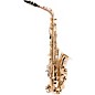 Giardinelli GAS-12 Series Alto Saxophone by Selmer Lacquer Lacquer Keys