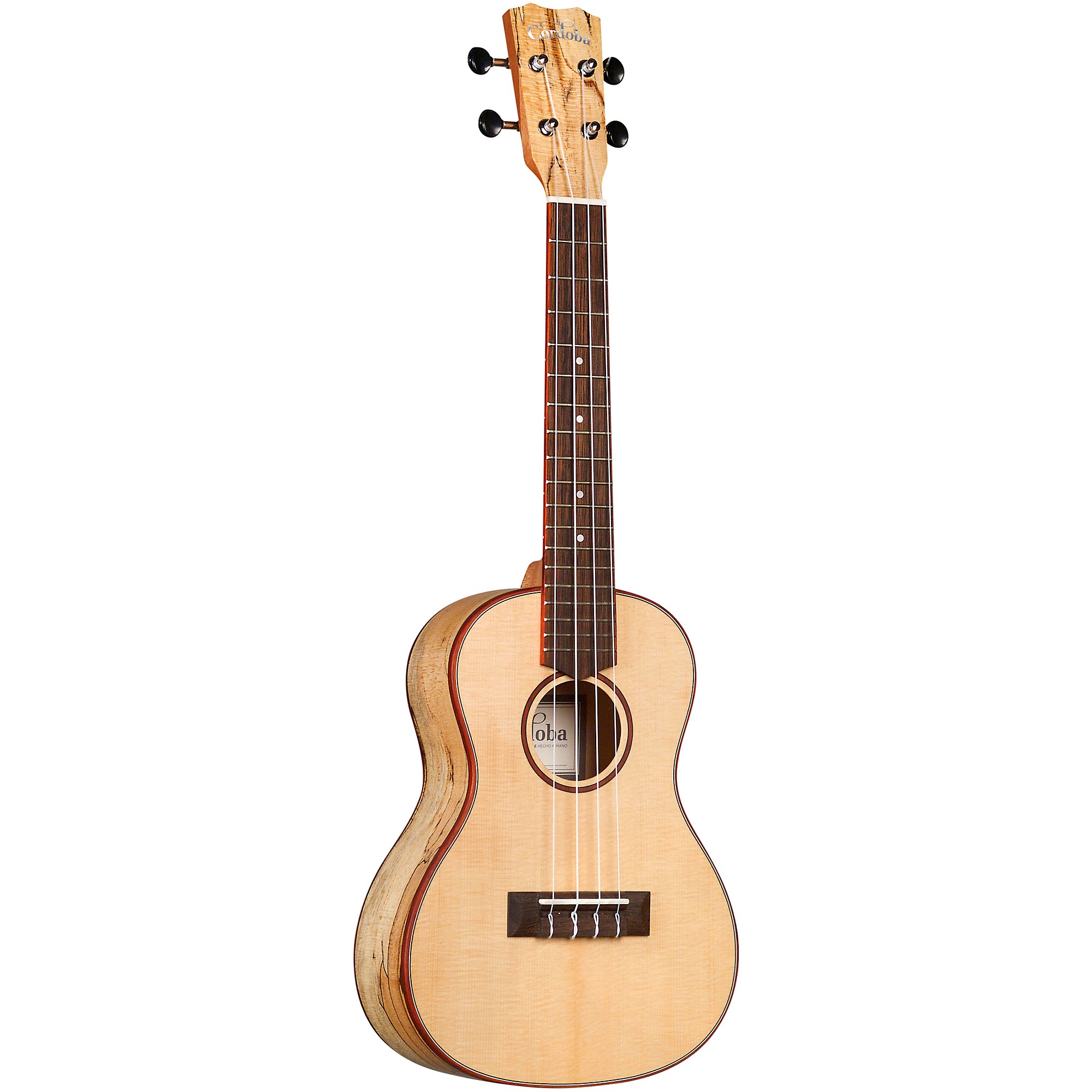 Cordoba 24C Spruce Spalted Maple Concert Ukulele Natural | Guitar