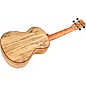 Cordoba 24T Spruce Spalted Maple Tenor Ukulele Natural