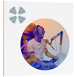 iZotope RX Elements (v8) (Download)