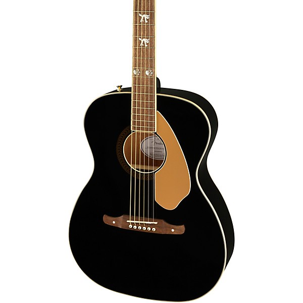 Open Box Fender Tim Armstrong 10th Anniversary Hellcat