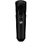 Warm Audio WA-87 R2 Condenser Microphone Black