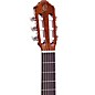 Ortega Traditional Series R220 Classical Guitar Gloss Natural 4/4