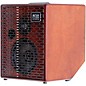 Acus Sound Engineering Acus Oneforstrings 6T Simon Combo Acoustic Amp Wood