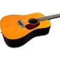 RainSong Vintage Series Dreadnought 12-String Acoustic-Electric Guitar Natural