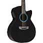 RainSong Concert Series WS 12-string Acoustic-Electric Guitar Graphite thumbnail