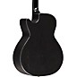 RainSong Concert Series WS 12-string Acoustic-Electric Guitar Graphite