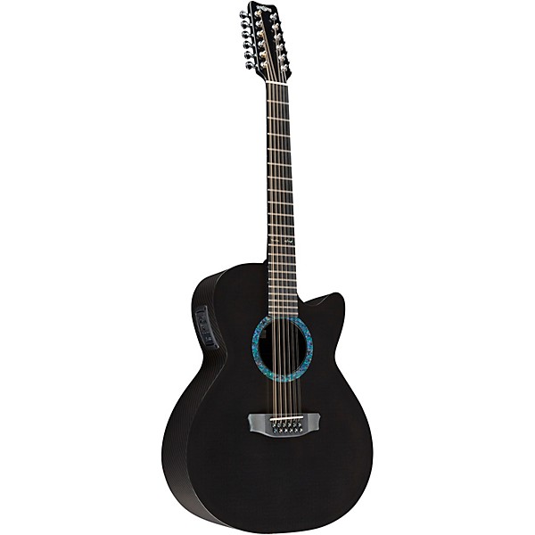 RainSong Concert Series WS 12-string Acoustic-Electric Guitar Graphite
