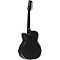 RainSong Concert Series WS 12-string Acoustic-Electric Guitar Graphite