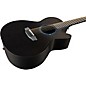 RainSong Concert Series WS 12-string Acoustic-Electric Guitar Graphite