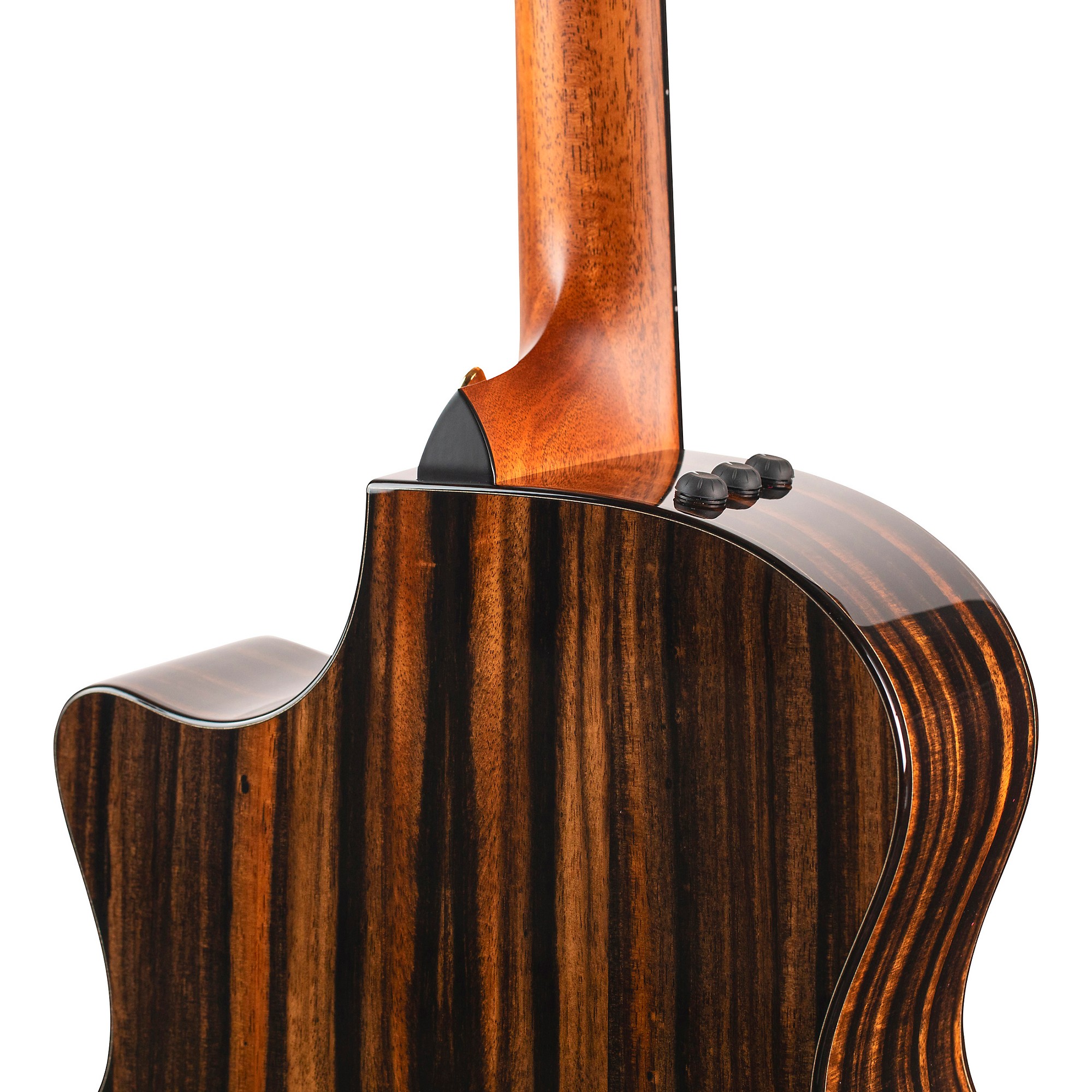 Platinum Taylor Custom Limited Edition Ebony Grand