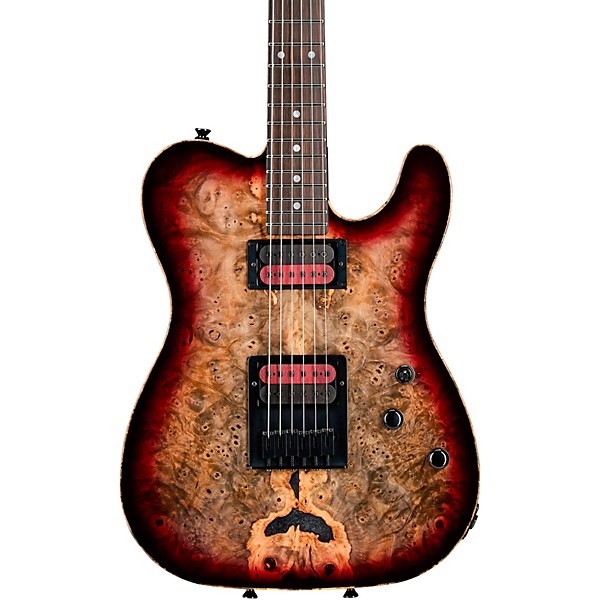 Schecter Guitar Research Custom Shop PT USA Buckeye Burl 6-String Electric Guitar Gray Stabilized With Pale Center