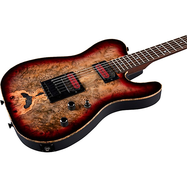 Schecter Guitar Research Custom Shop PT USA Buckeye Burl 6-String Electric Guitar Gray Stabilized With Pale Center