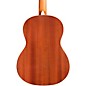 Cordoba Protege C1 Matiz Classical Guitar Coral