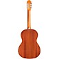 Cordoba Protege C1 Matiz Classical Guitar Coral