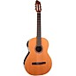 Open Box Godin Collection Acoustic Nylon-String Guitar Level 1 Natural