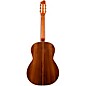 Open Box Godin Collection Acoustic Nylon-String Guitar Level 1 Natural