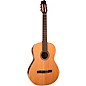 Open Box Godin Concert Left-Handed Nylon-String Guitar Level 1 Natural