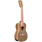 Kala Sparkle Concert Ukulele Stardust Gold