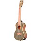 Kala Sparkle Concert Ukulele Stardust Gold