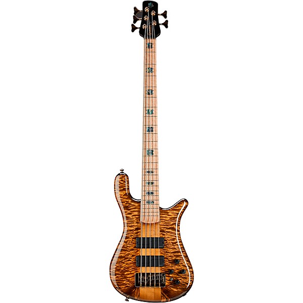 Spector NS5 Quilted Top/Fishman Electronics Tiger Eye