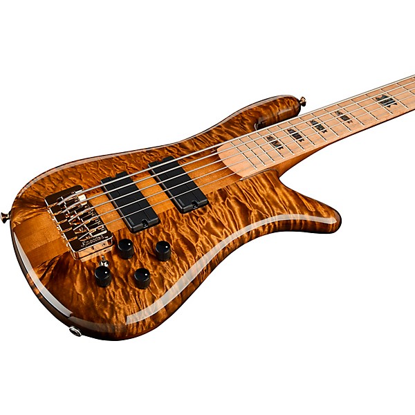 Spector NS5 Quilted Top/Fishman Electronics Tiger Eye