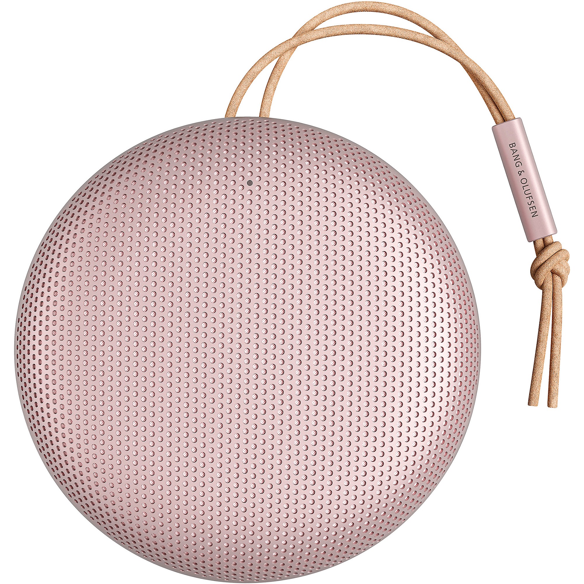 Amazon.com: Bang & Olufsen Beosound A1 (2nd Generation