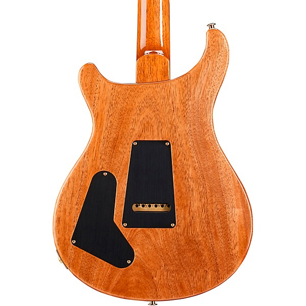 PRS Special Semi-Hollow 10-Top With Pattern Neck Electric Guitar Eriza Verde