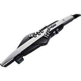 Roland AE-30 Aerophone Pro