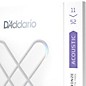 D'Addario XS Acoustic Phosphor Bronze Strings Custom Light (11-52)