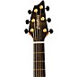 Open Box Breedlove Congo Figured Sapele Concert CE Acoustic-Electric Guitar Level 2 Natural 197881034757