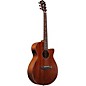 Ibanez AEG220 Solid Top Grand Concert Acoustic-Electric Guitar Dark Brown Open Pore