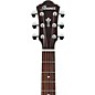Ibanez AEG220 Solid Top Grand Concert Acoustic-Electric Guitar Dark Brown Open Pore