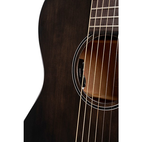 Cort Core Series Solid Spruce