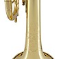 Bach BTR411 Intermediate Series Bb Trumpet Lacquer Yellow Brass Bell