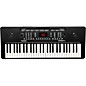 Alesis Harmony 54 54-Key Portable Keyboard with Built-In Speakers thumbnail