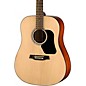 Open Box Walden Standard Solid Spruce Top Dreadnought Acoustic Level 1 Gloss Natural thumbnail