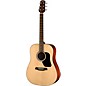 Walden Standard Solid Spruce Top Dreadnought Acoustic Gloss Natural