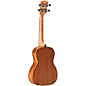 Alvarez RU26C Regent Concert Ukulele Satin Natural