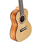 Alvarez RU26C Regent Concert Ukulele Satin Natural