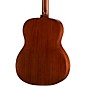Walden Standard Solid Spruce Top Orchestra Acoustic Gloss Natural