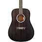 Washburn Deep Forest Ebony D Acoustic Guitar Natural Matte thumbnail