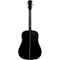 Washburn Deep Forest Ebony D Acoustic Guitar Natural Matte