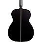 Washburn Deep Forest Ebony FE Acoustic-Electric Guitar Natural Matte