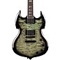 Wylde Audio Barbarian Nordic Ice Electric Guitar Nordic Ice thumbnail