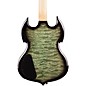 Wylde Audio Barbarian Nordic Ice Electric Guitar Nordic Ice