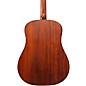 Ibanez AAD100 Advanced Acoustic Solid Top Dreadnought Guitar Open Pore Satin Natural