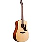 Ibanez AAD100 Advanced Acoustic Solid Top Dreadnought Guitar Open Pore Satin Natural