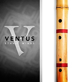 Impact Soundworks Ventus Bansuri (Download)